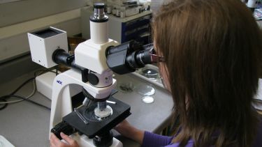 Member of the archaeobotany team using a microscope
