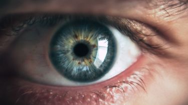 eye image