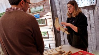 A PhD student talks about bones to a member of the public