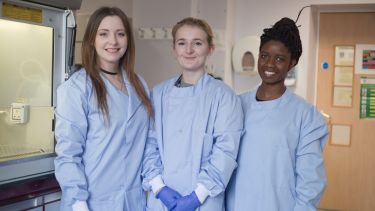 Bioscience PGT students in the lab at Sheffield