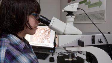 Student using a microscope in the lab