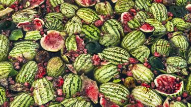 A pile of pieces of watermelon