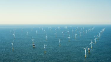 Aerial view of an offshore wind farm