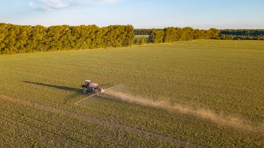 Aerial view of a farm tractor in a yellow field during spraying and for growing food, vegetables and fruits on indian summer sunny day. Agriculture industry.