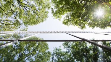 Glass-walled building reflecting trees