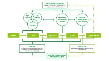 The Horton food system diagram showing the journey of food from lang to consumers