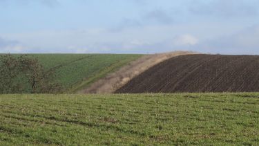 Some hilly fields