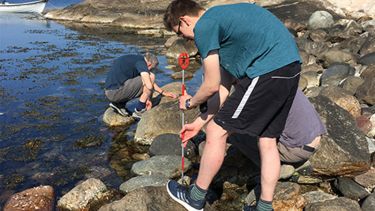 Sam Fenton look for wildlife in rockpools