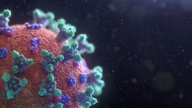 Visualisation of Covid-19