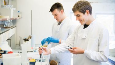 Students in the beer lab
