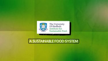 a green background with the University of Sheffield Institute for Sustainable Food logo