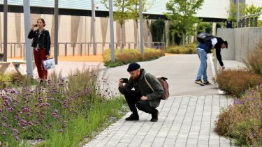 Students exploring planting design on a field trip