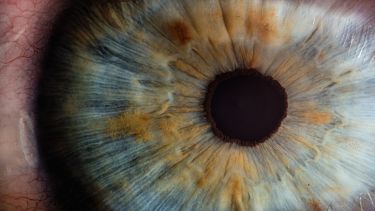 Extreme close up of iris and pupil in eye