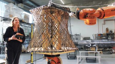 Architecture dissertations riba picture