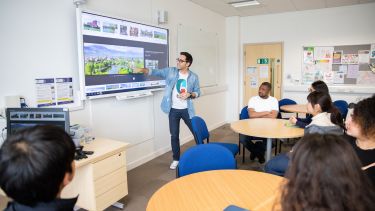 Tutor presents image on the board to class