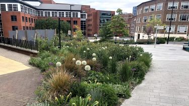 Flood and drough resistant planting in a city centre