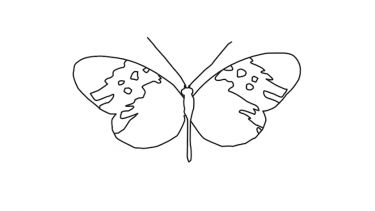 A butterfly from a colouring book