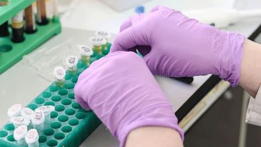 Test tubes in a lab with purple gloved hands