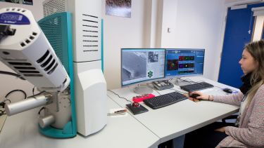 Tescan Vega3 LMU Scanning Electron Microscope with Oxford X-Max 50 EDS Detector