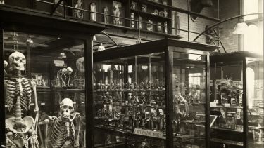 A black and white photograph of display cases