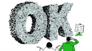 It's okay not to like it graphic