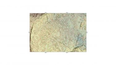 Drumlin map