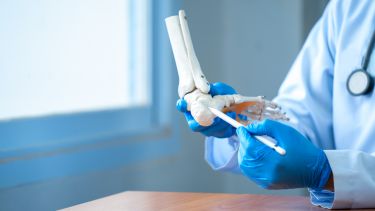 Physiotherapist holding a skeleton feet model in clinic,
