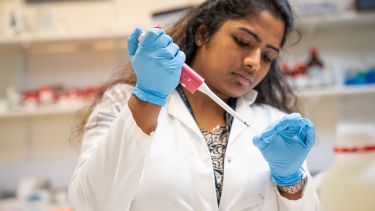Student processing samples
