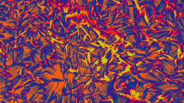 Scanning Electron Microscope Image