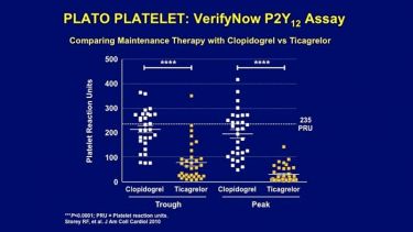 PlatoPlatlet