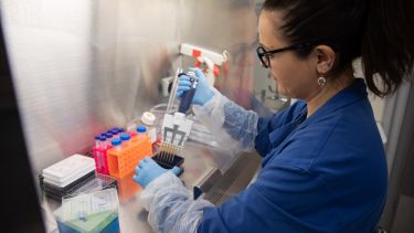 Person using test tubes