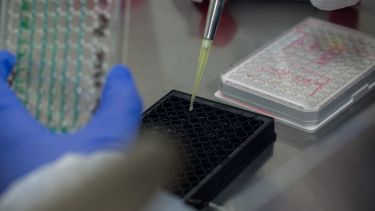 Scientist undertaking experiment in lab