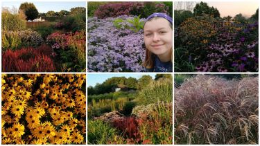 BA Architecture and Landscape student Poppy King on placement at Sussex Prairie Garden