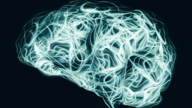 Brain graphic
