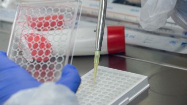 Scientist running experiment in lab