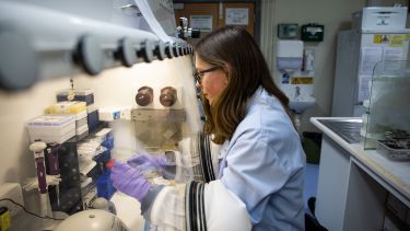 Student in research lab