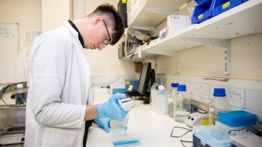 Male researcher in lab
