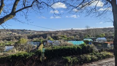 Wide ranging view over the Meersbrook allotments in Sheffield. There are trees and a lane in the foreground and a highrise building in the background