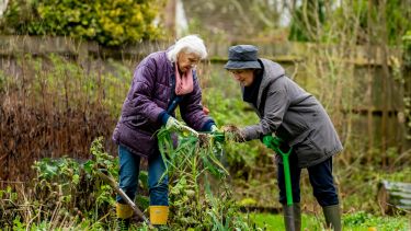 Healthy ageing