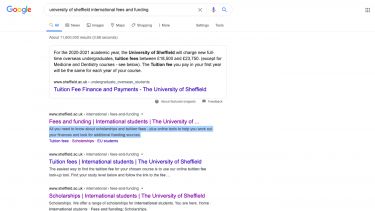 Google screenshot illustrating page summary in search
