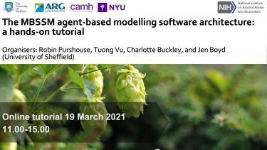 The MBSSM agent-based modelling software architecture:  a hands-on tutorial