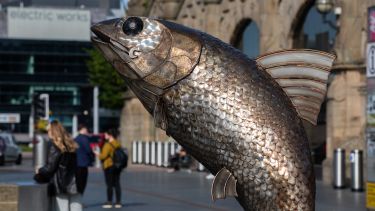 Salmon of Steel
