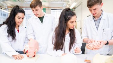 Students taking part in human anatomy teaching