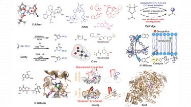 Organic and chemical biology research themes