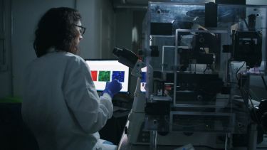 Researcher at work in laboratory