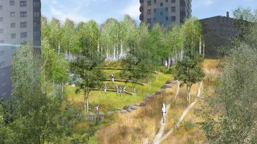 Student work from Ecological Processes, Design and Management