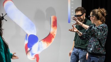 INSIGNEO Researchers using VR Headset