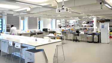 INSIGNEO Biomechanics and Mechanobiology laboratory