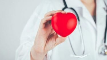 Doctor holding a heart shaped item