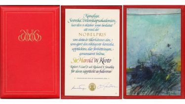 Harry Kroto's nobel citation